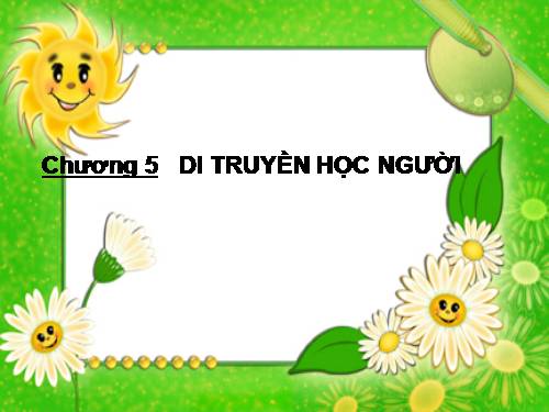 Bài 28. Phương pháp nghiên cứu di truyền người