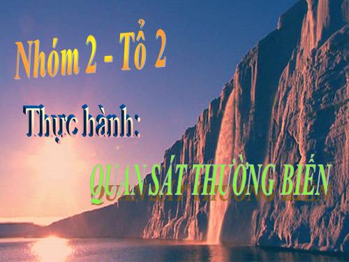 Bài 27. Thực hành: Quan sát thường biến