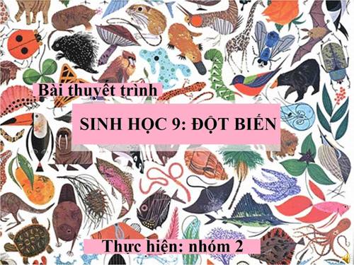 Bài 26. Thực hành: Nhận biết một vài dạng đột biến