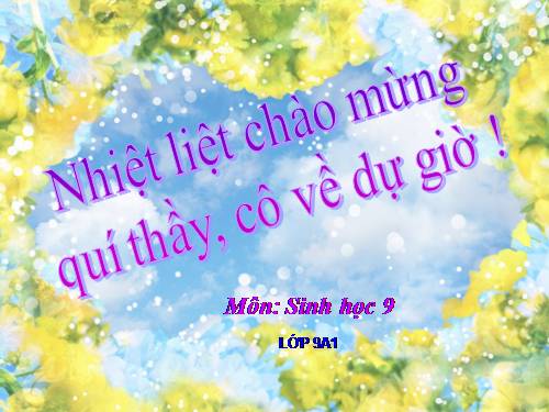 Bài 25. Thường biến