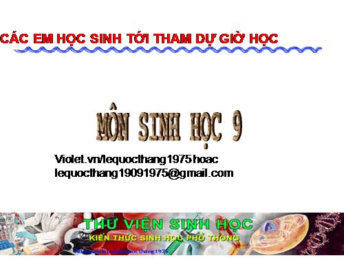 Bài 21. Đột biến gen