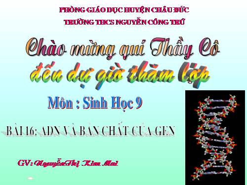 Bài 16. ADN và bản chất của gen