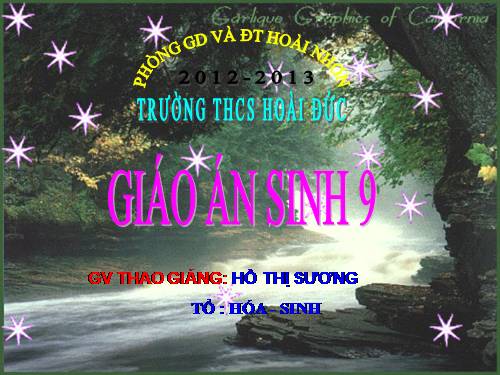 Bài 9. Nguyên phân