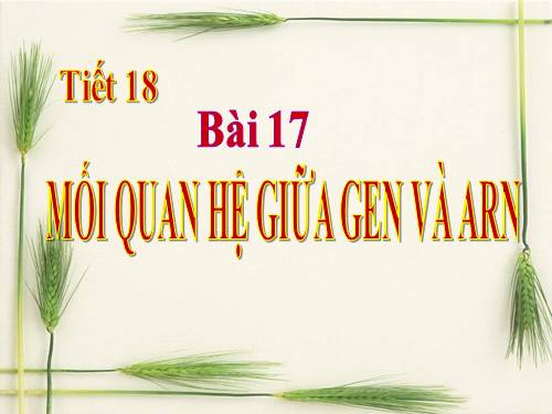 Bài 17. Mối quan hệ giữa gen và ARN