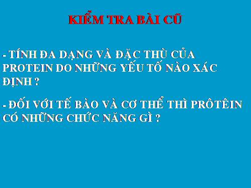 Bài 19. Mối quan hệ giữa gen và tính trạng