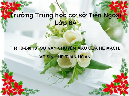 Bài 50. Hệ sinh thái