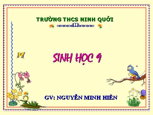 Bài 17. Mối quan hệ giữa gen và ARN