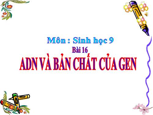 Bài 16. ADN và bản chất của gen