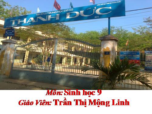 Bài 44. Ảnh hưởng lẫn nhau giữa các sinh vật