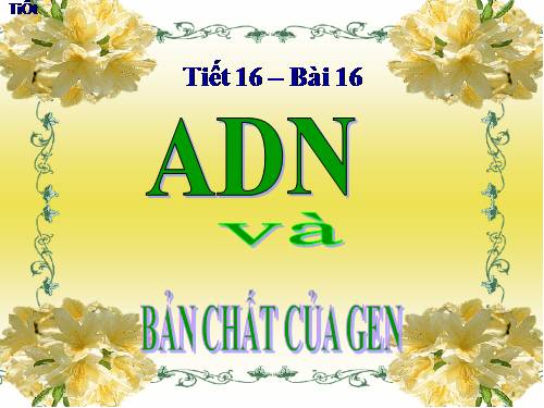 Bài 16. ADN và bản chất của gen