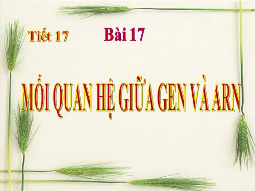 Bài 17. Mối quan hệ giữa gen và ARN