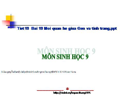 Bài 19. Mối quan hệ giữa gen và tính trạng