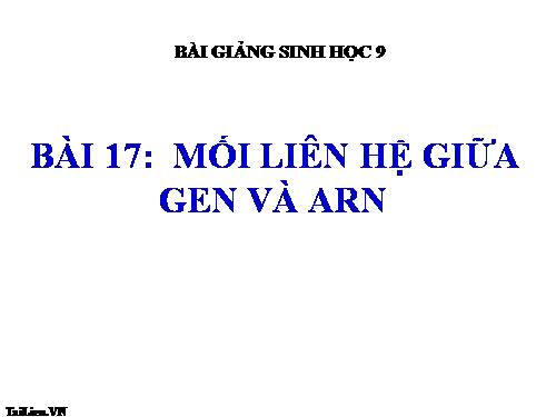 Bài 17. Mối quan hệ giữa gen và ARN