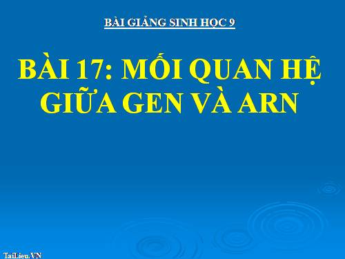 Bài 17. Mối quan hệ giữa gen và ARN