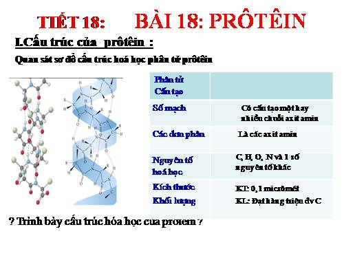 Bài 18. Prôtêin