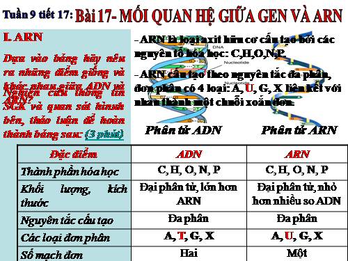 Bài 17. Mối quan hệ giữa gen và ARN