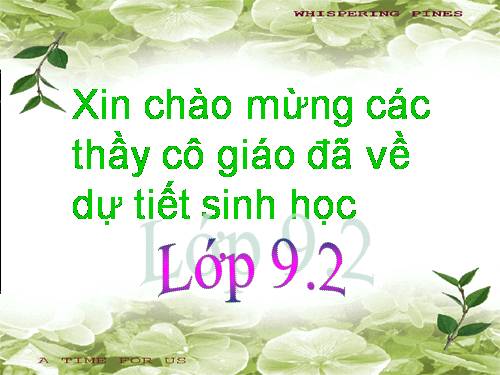 Bài 15. ADN