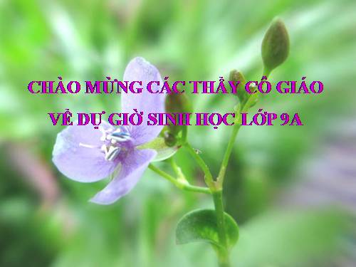 Bài 53. Tác động của con người đối với môi trường