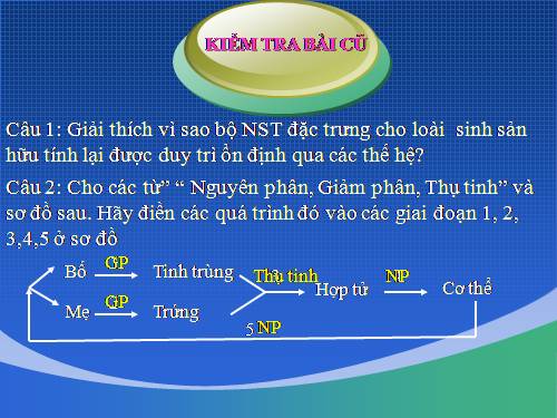 Bài 12. Cơ chế xác định giới tính