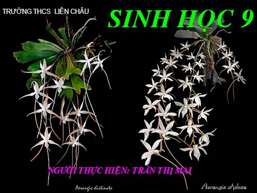 Bài 14. Thực hành: Quan sát hình thái nhiễm sắc thể