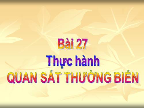 Bài 27. Thực hành: Quan sát thường biến