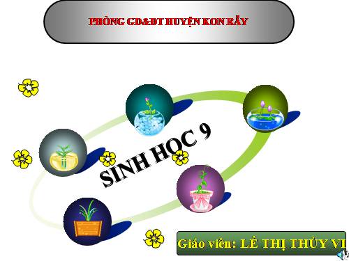 Bài 12. Cơ chế xác định giới tính