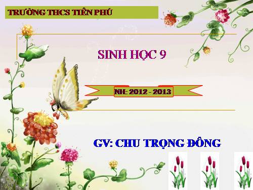 Bài 2. Lai một cặp tính trạng