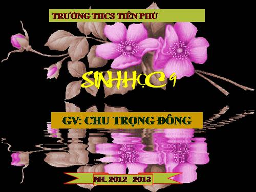 Bài 3. Lai một cặp tính trạng (tiếp theo)