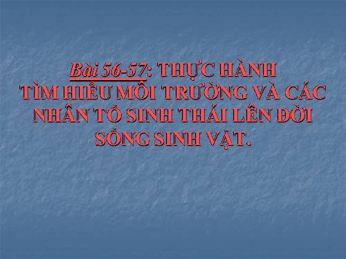 Bài 56. Thực hành: Tìm hiểu tình hình môi trường ở địa phương