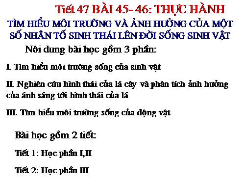 Bài 45. Thực hành: Tìm hiểu môi trường và ảnh hưởng của một số nhân tố sinh thái lên đời sống sinh vật