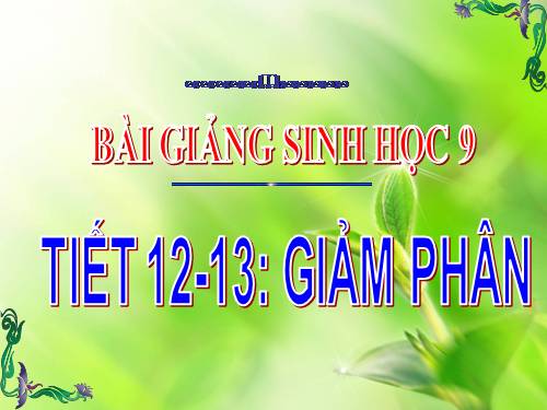 Bài 10. Giảm phân