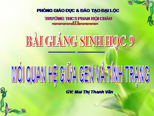 Bài 19. Mối quan hệ giữa gen và tính trạng