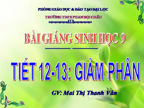 Bài 10. Giảm phân