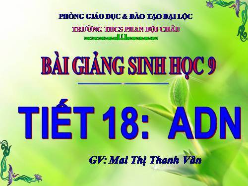 Bài 15. ADN