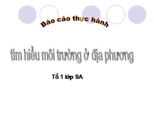 Bài 56. Thực hành: Tìm hiểu tình hình môi trường ở địa phương