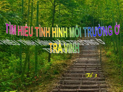 Bài 56. Thực hành: Tìm hiểu tình hình môi trường ở địa phương