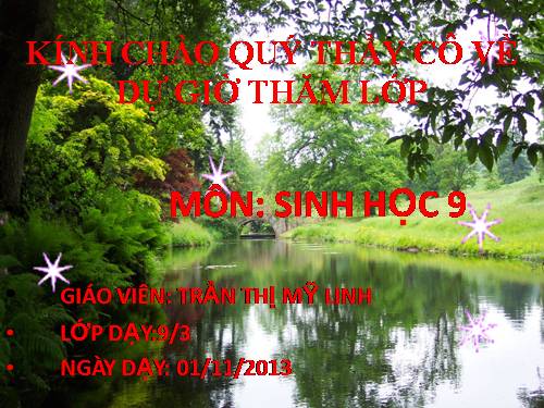 Bài 19. Mối quan hệ giữa gen và tính trạng