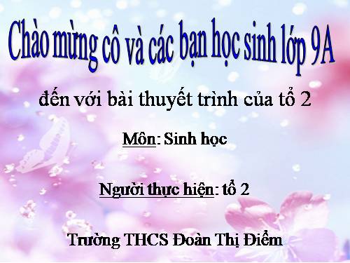 Bài 56. Thực hành: Tìm hiểu tình hình môi trường ở địa phương