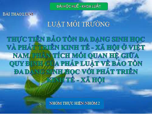 Bài 61. Luật Bảo vệ môi trường