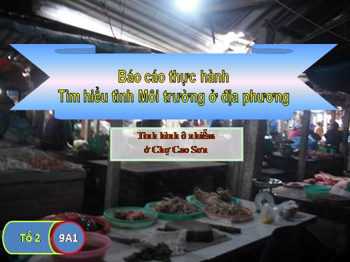 Bài 56. Thực hành: Tìm hiểu tình hình môi trường ở địa phương