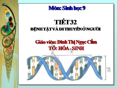 Bài 29. Bệnh và tật di truyền ở người