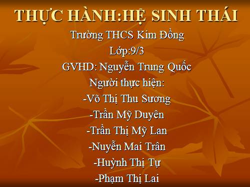 Bài 51. Thực hành: Hệ sinh thái