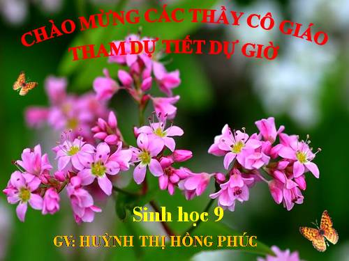 Bài 59. Khôi phục môi trường và gìn giữ thiên nhiên hoang dã