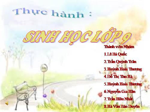 Bài 51. Thực hành: Hệ sinh thái