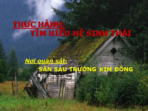 Bài 51. Thực hành: Hệ sinh thái