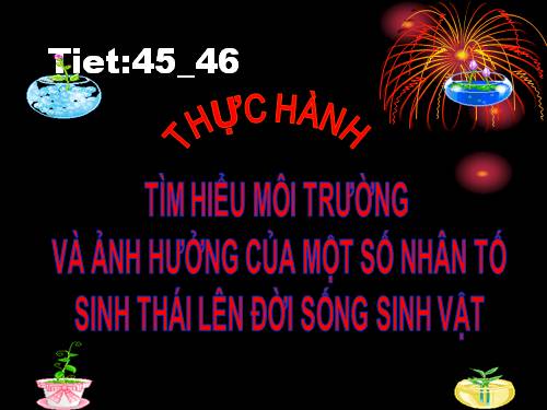 Bài 45. Thực hành: Tìm hiểu môi trường và ảnh hưởng của một số nhân tố sinh thái lên đời sống sinh vật