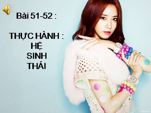 Bài 51. Thực hành: Hệ sinh thái