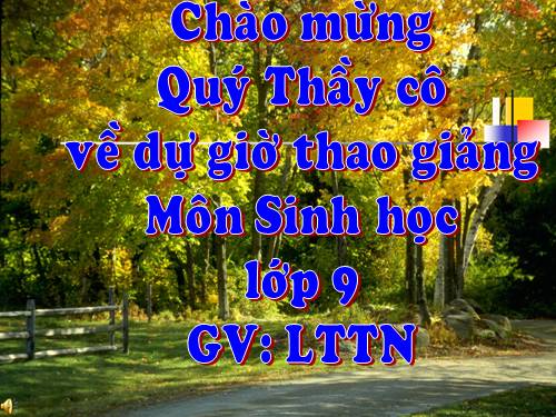 Bài 12. Cơ chế xác định giới tính