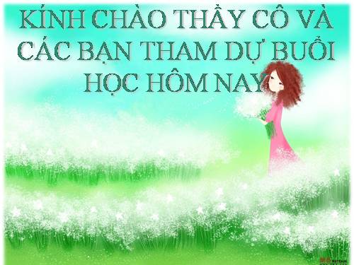 Bài 56. Thực hành: Tìm hiểu tình hình môi trường ở địa phương