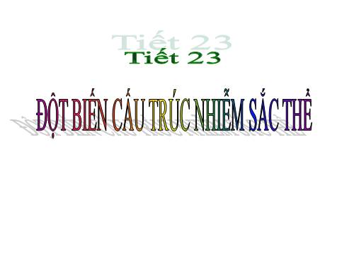 Bài 22. Đột biến cấu trúc nhiễm sắc thể